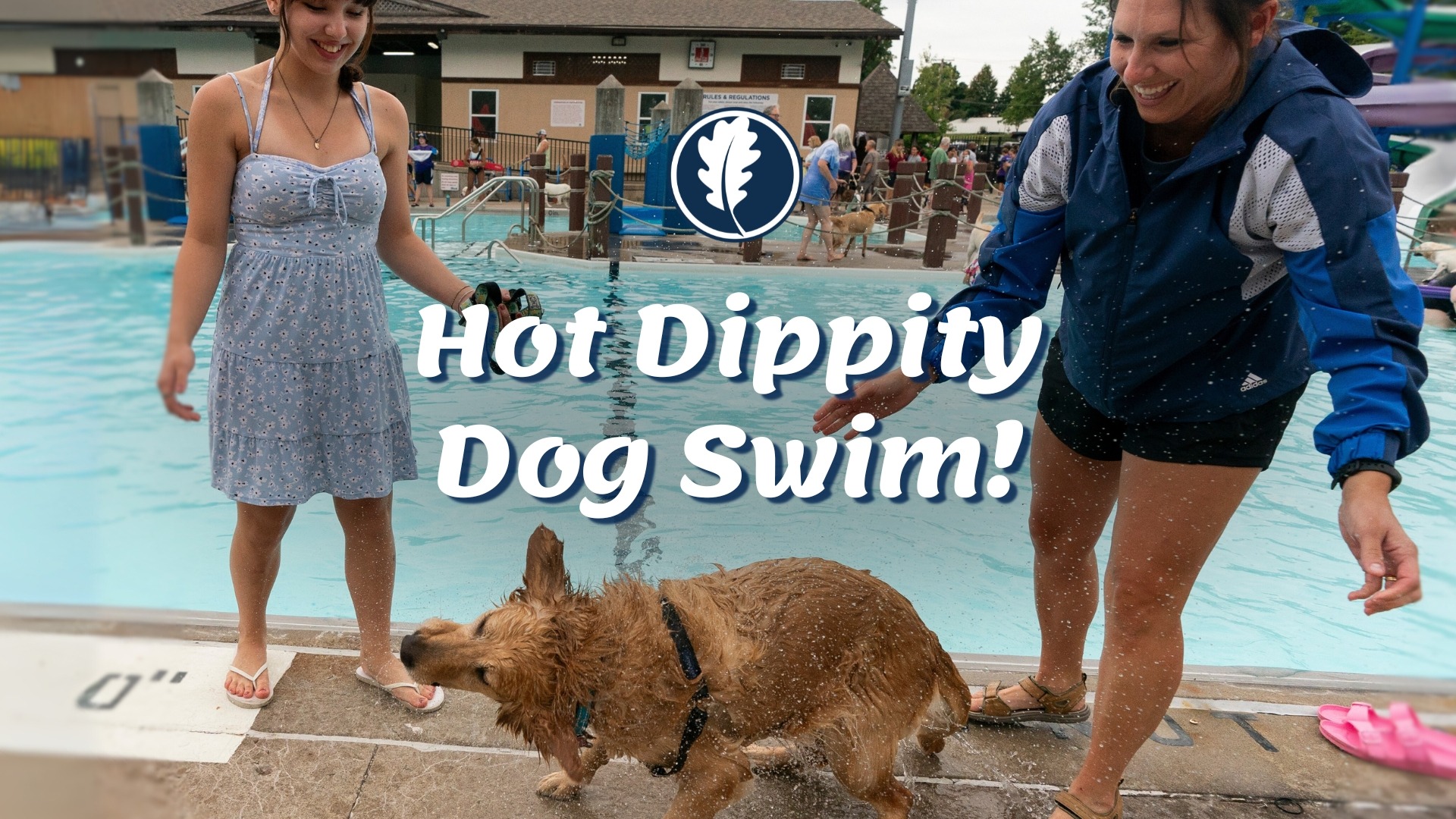 Hot Dippity Dog Swim Poster